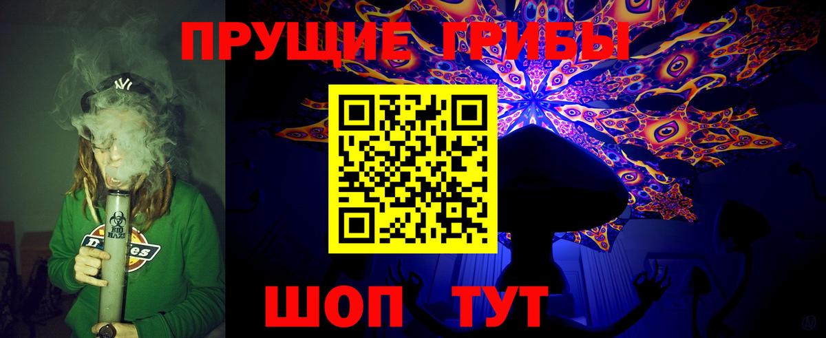 Галлюциногенные грибы Psilocybine cubensis Полевской